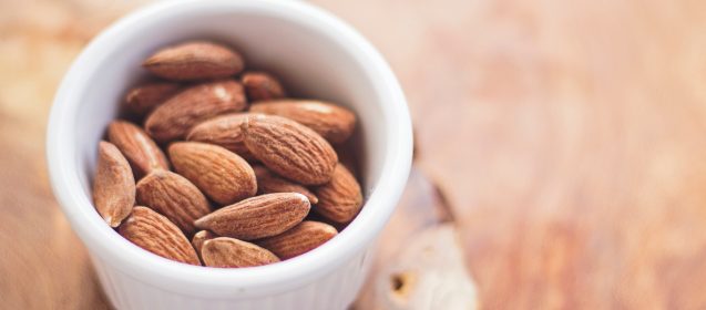 The Best Protein Snacks